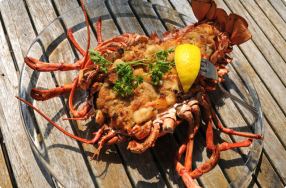 Baked Stuffed Lobster