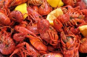 Boiling, Peeling & Eating Crawfish