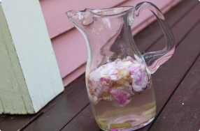 Beach Rose & Ginger Vodka