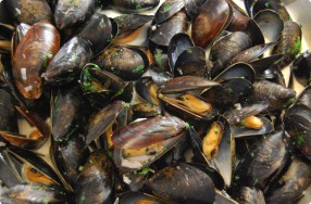 Mussels Mariniere