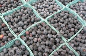 Freezing Blueberries