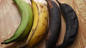 Plantain Stages of Ripeness & Uses