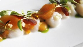 Bay Scallop Crudo w/ Pickled Persimmon