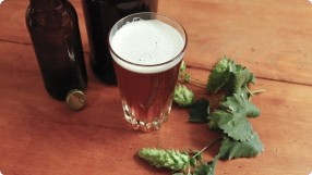 Beer Brewing for Beginners