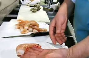 Deveining Shrimp