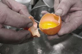 Separating Eggs