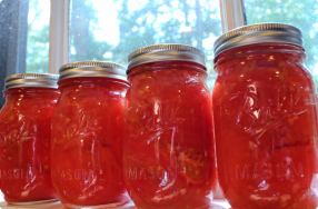 Canning Tomatoes