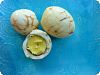 Chinese Tea Eggs