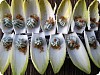 Endive Spears w/ Blue Cheese & Spiced Nuts