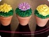 Flower Pot Cupcakes