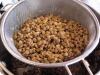 How to Cook Lentils