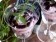 Blueberry Fool
